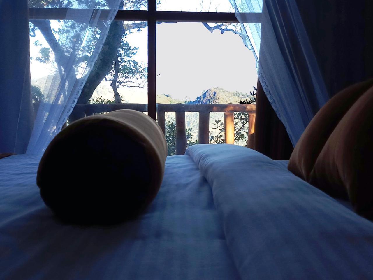 Saffron Eco Cottage Procida Dış mekan fotoğraf