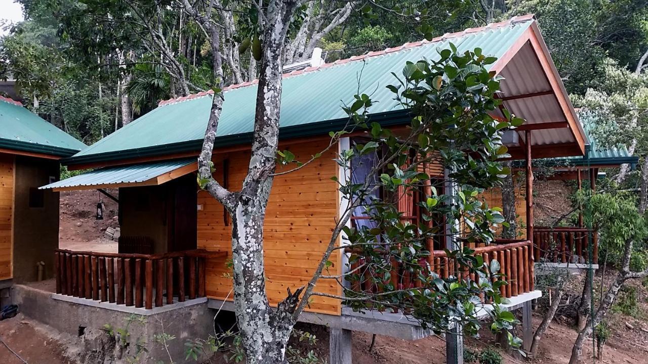 Saffron Eco Cottage Procida Dış mekan fotoğraf